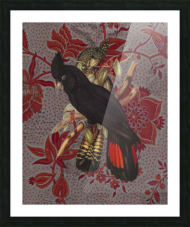 Cockatoos Picture Frame print