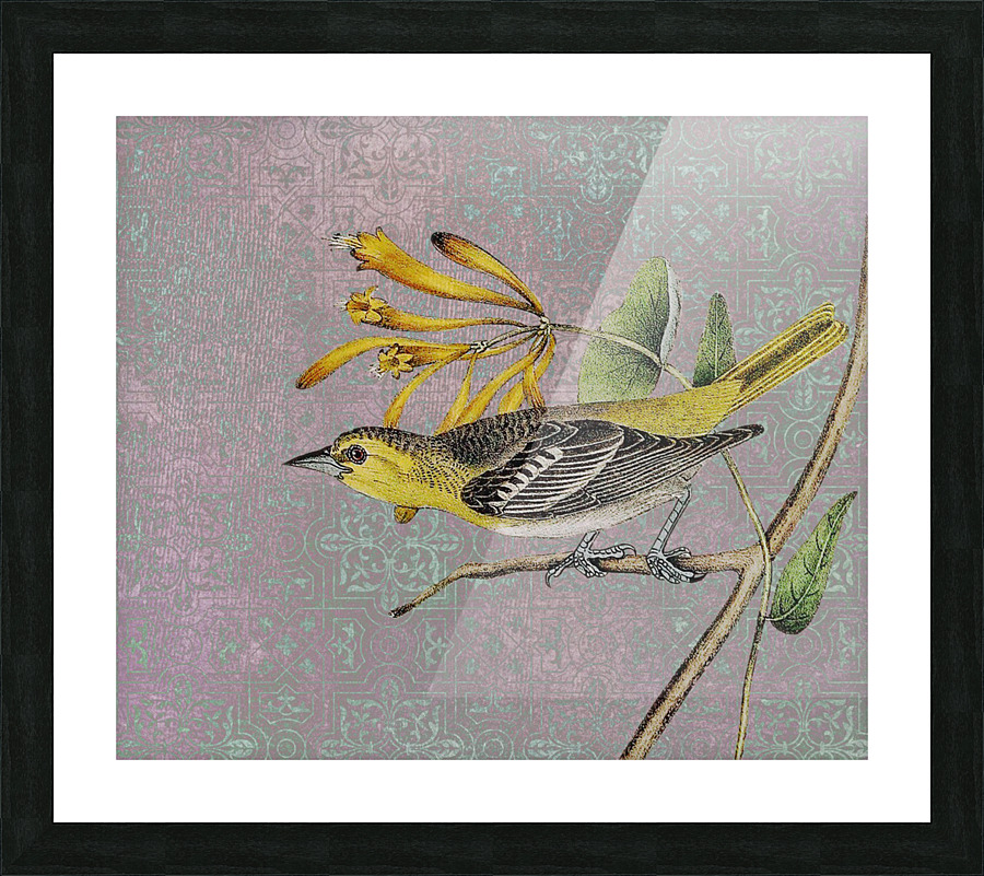Curious Yellow Bird Picture Frame print