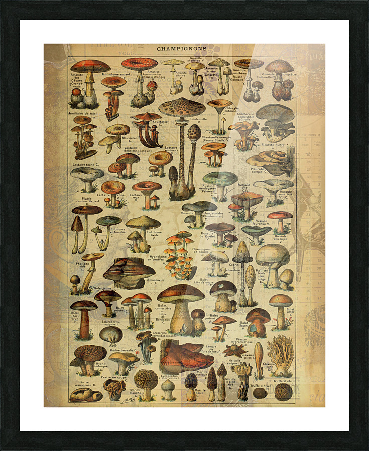 My Cology Picture Frame print