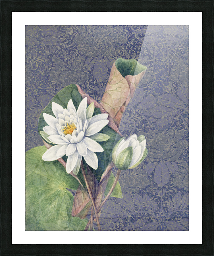 Lotus Picture Frame print