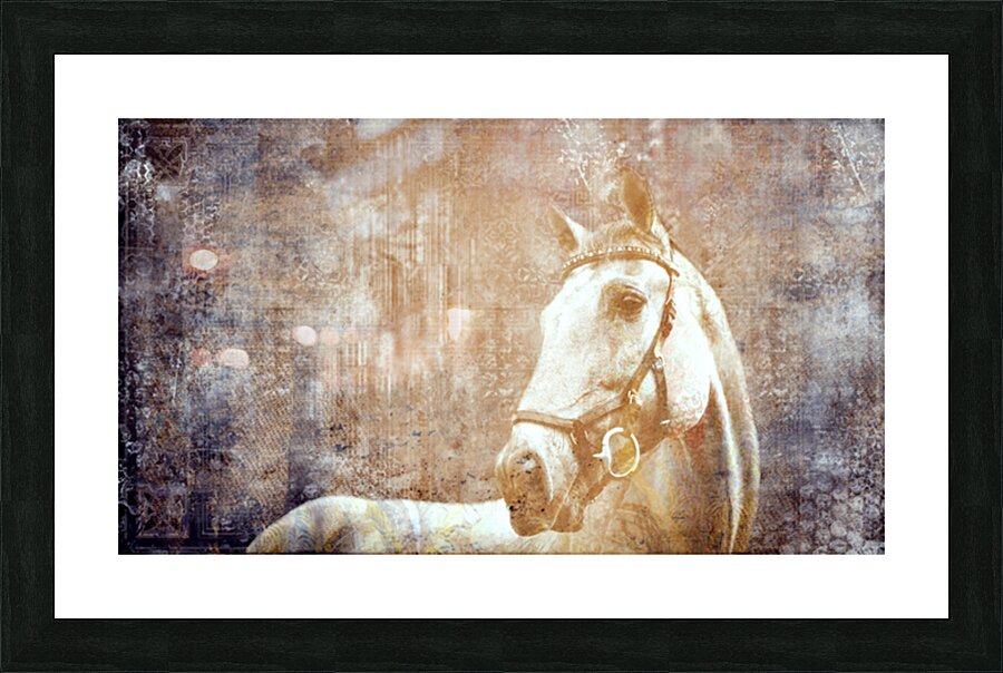 Etched Window Horse 2 Picture Frame print