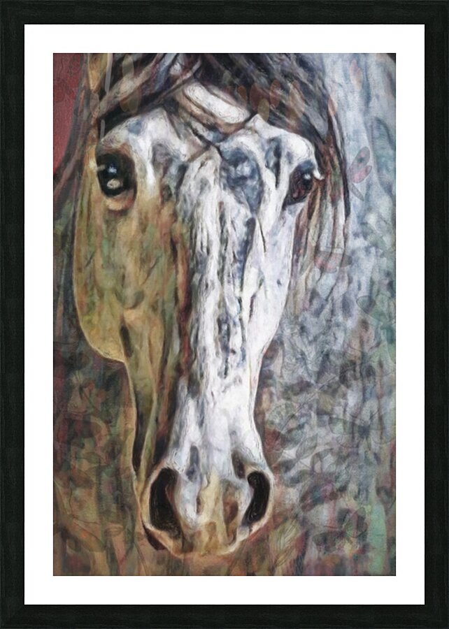 Intimate Horse  Picture Frame print