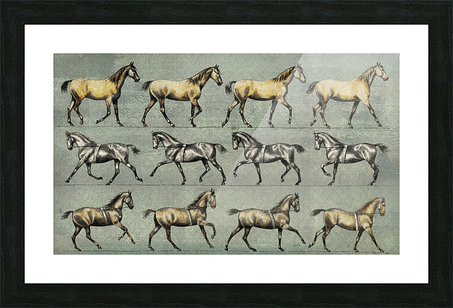 Running Horse Picture Frame print