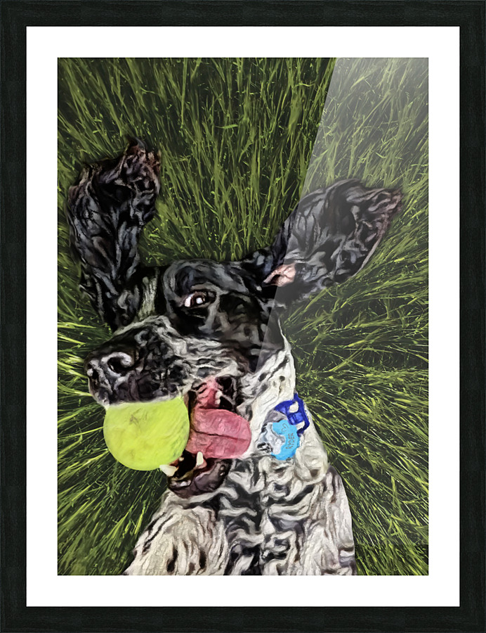 ryder Picture Frame print