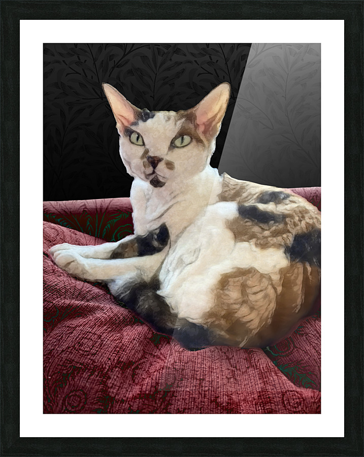 Cheesecake Picture Frame print