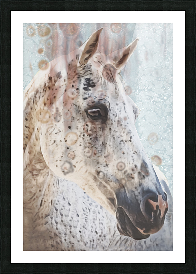 Queen Picture Frame print