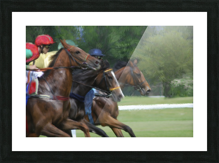 By a Stroke Picture Frame print
