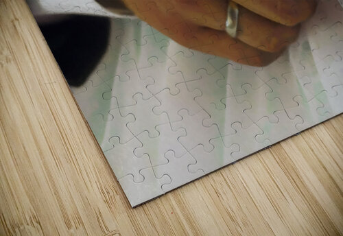 The Todds Cathleen Klibanoff puzzle