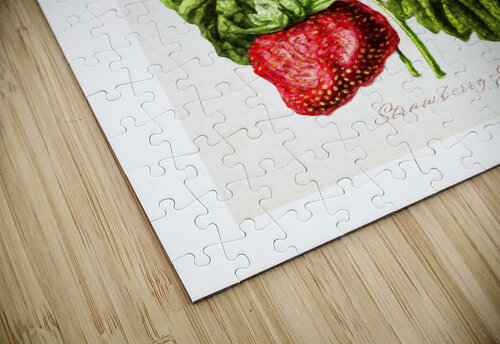 Strawberry Jam Cathleen Klibanoff puzzle