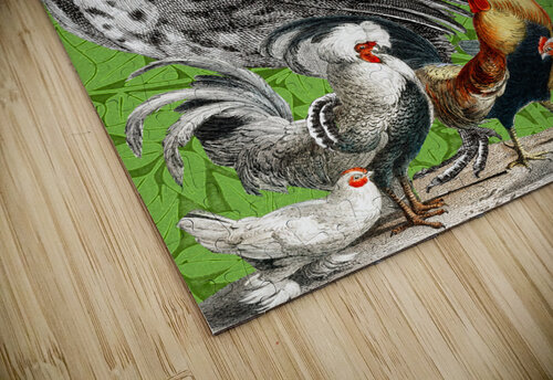 Hens and Friends Cathleen Klibanoff puzzle