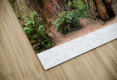 Enchanted Forest Cathleen Klibanoff puzzle