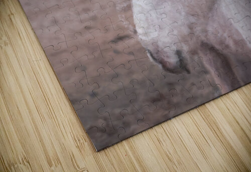 See Truth Cathleen Klibanoff puzzle