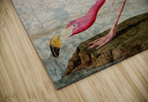 Florida Flamingo Cathleen Klibanoff puzzle