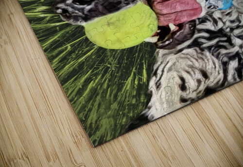 ryder Cathleen Klibanoff puzzle