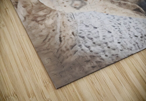 Queen Cathleen Klibanoff puzzle