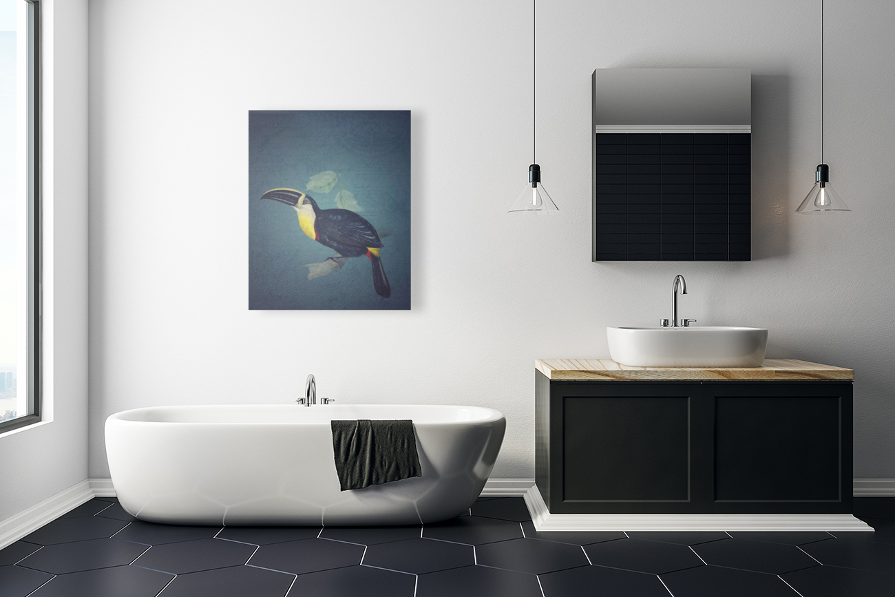 Toucan Reproduction