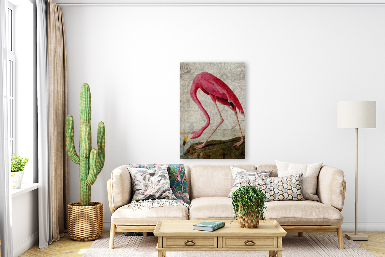 Florida Flamingo Reproduction