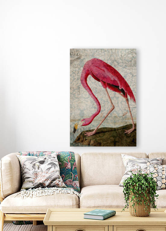Florida Flamingo by Cathleen Klibanoff