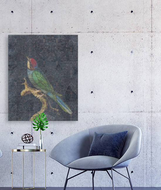 Song Bird Reproduction