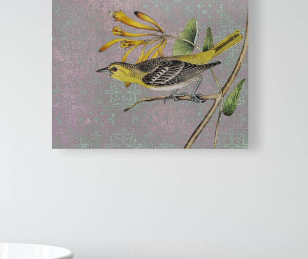 Curious Yellow Bird Reproduction