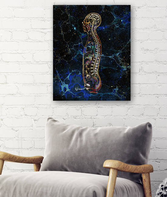 Anatomical Cubensis Reproduction