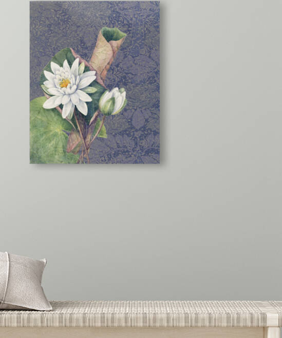 Lotus by Cathleen Klibanoff