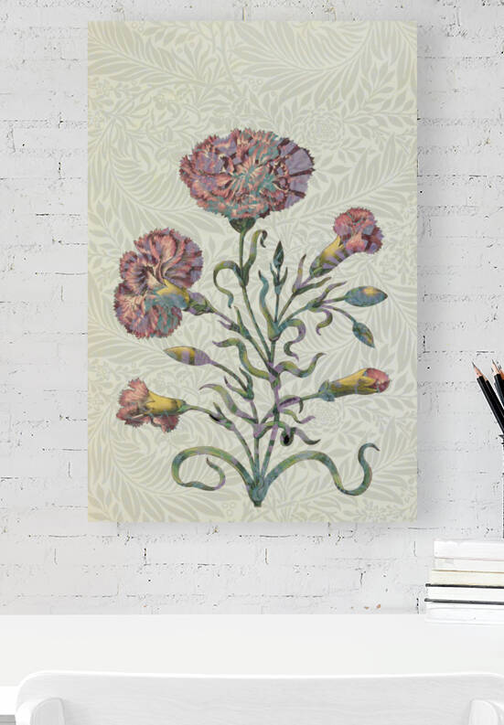 Pink Carnation by Cathleen Klibanoff