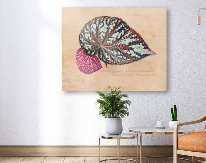 Custom Botanical Print  by Cathleen Klibanoff
