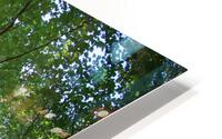 Birdie HD Metal print