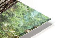 Enchanted Forest HD Metal print