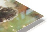 Mana Bear HD Metal print