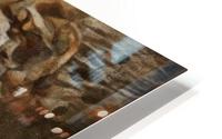Lion HD Metal print