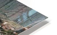 Baloo HD Metal print