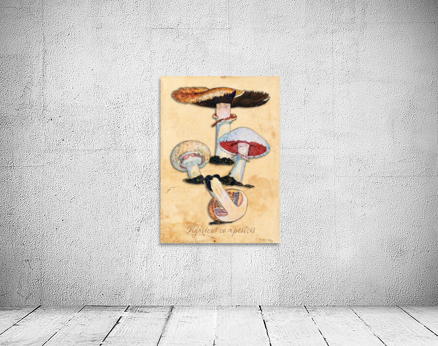 Agaricus Campestris Wall Preview