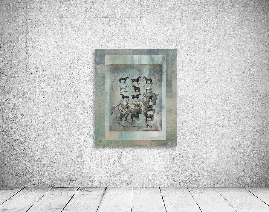 Horse Chart  Wall Preview