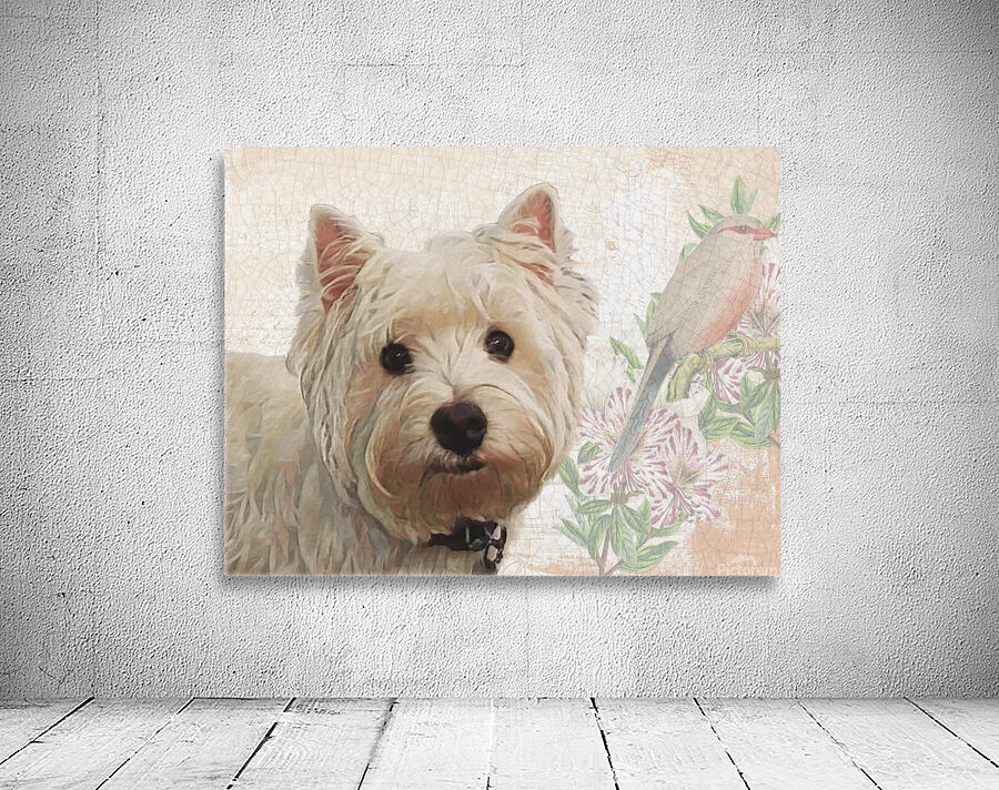 Westie Wall Preview