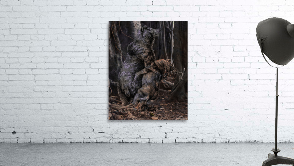 Grizzly Wall Preview