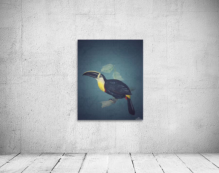 Toucan Wall Preview