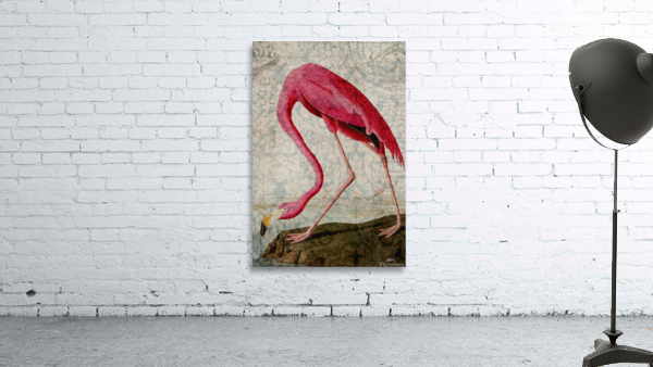 Florida Flamingo Wall Preview
