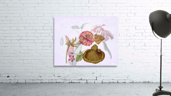 Mush Love Wall Preview