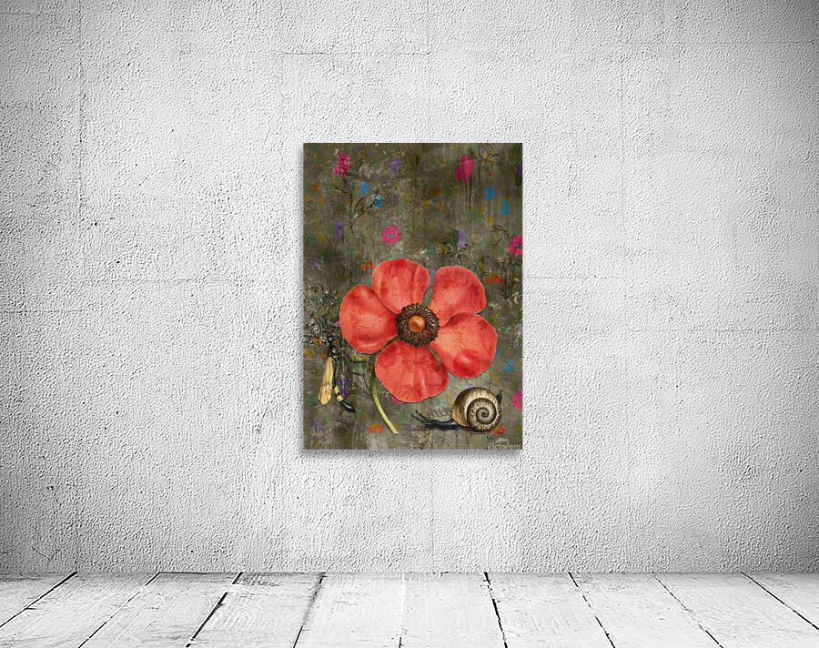 Poppy Snail 2 Wall Preview