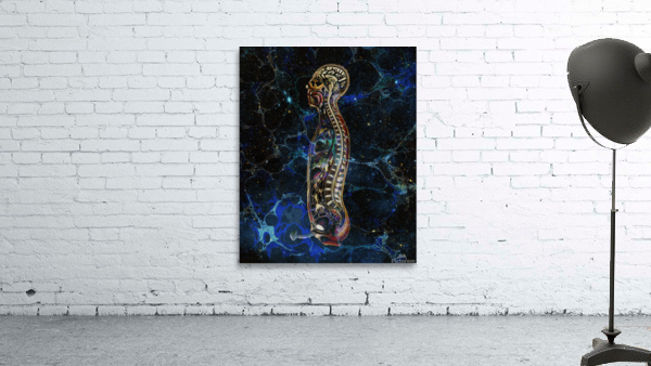 Anatomical Cubensis Wall Preview