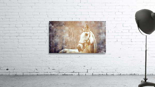 Etched Window Horse 2 Wall Preview