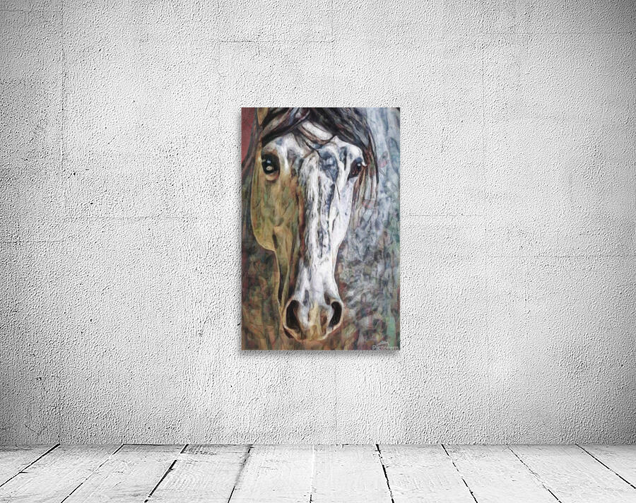 Intimate Horse  Wall Preview