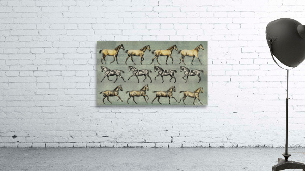 Running Horse Wall Preview
