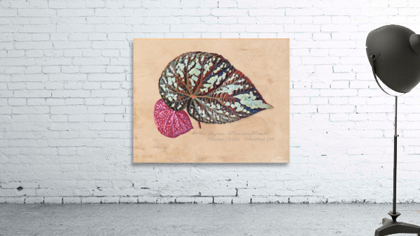 Custom Botanical Print  Wall Preview