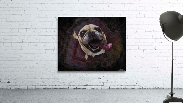 Audrey Wall Preview