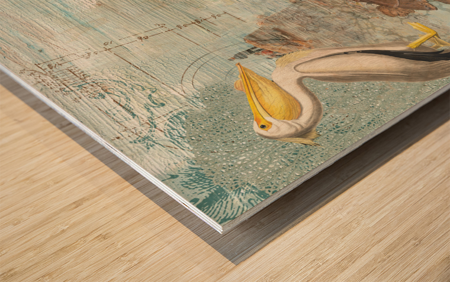 Pelican meet Turtle Wood print