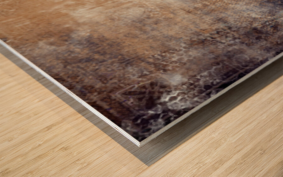 Etched Window Horse 2 Wood print