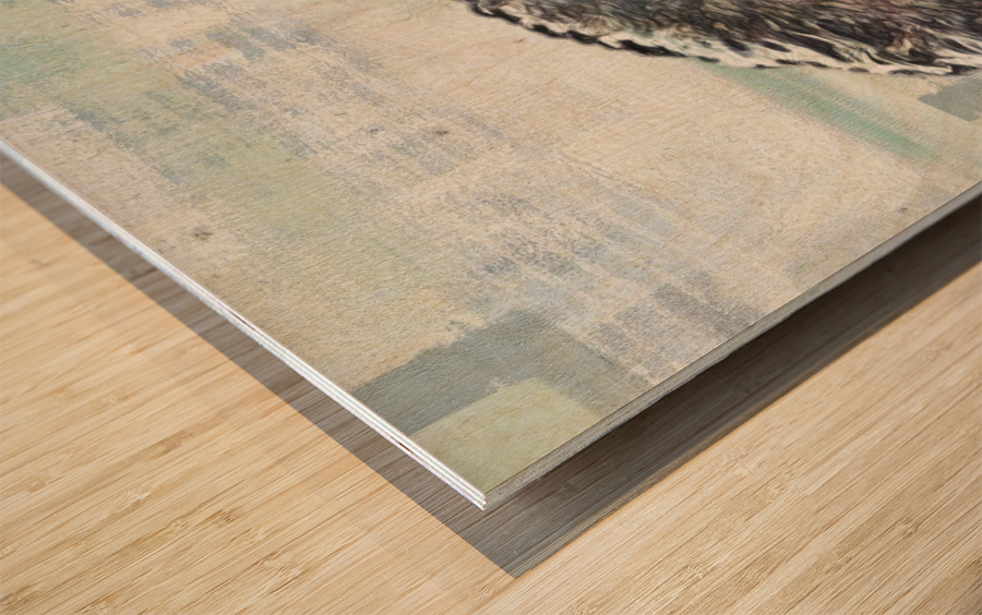 Wavy Horse Wood print